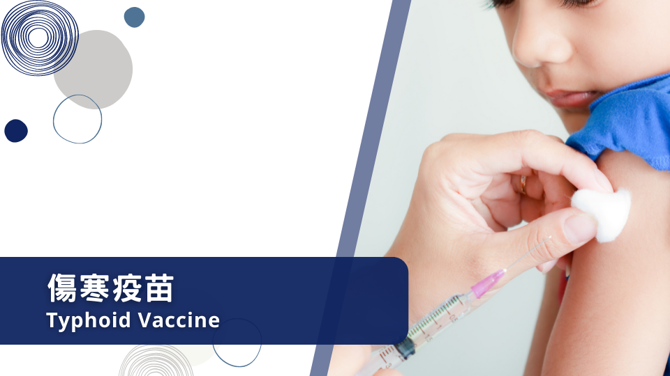 傷寒疫苗 