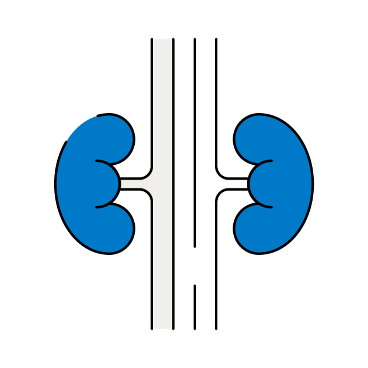 詳盡腎功能檢查